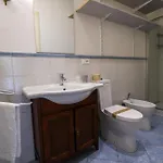 Panoramic レーリチ