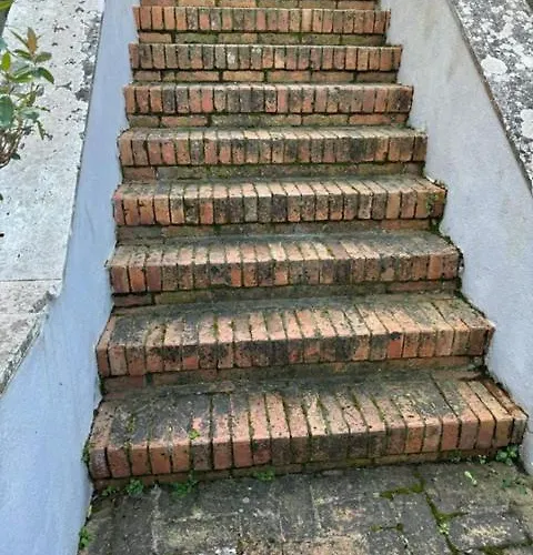 Panoramic * 莱里奇